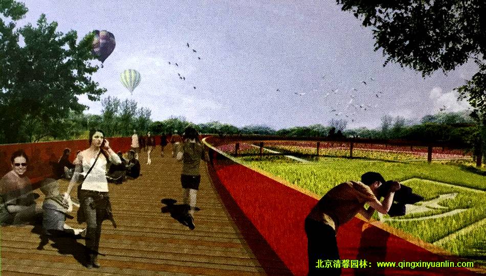 大潘森林公園 景觀設(shè)計(jì)案例展示